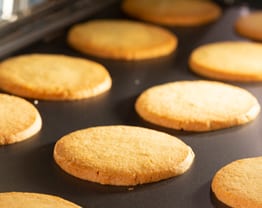 magistar-cookies magistar-cookies